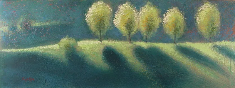 controluce follina